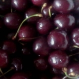 Вот такую черешню у нас продают на рынках... - 2012 год
