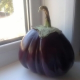 Новая карета для Золушки на новом окне - 2012 год...