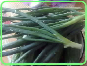 Лук батун с дачи - 2011 год