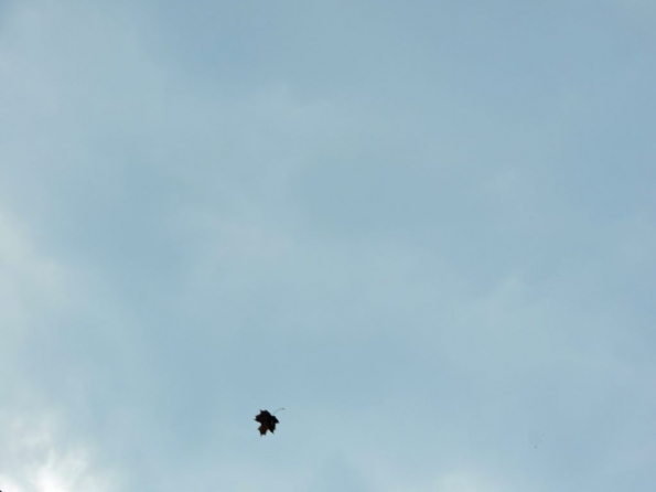 Осеннее небо