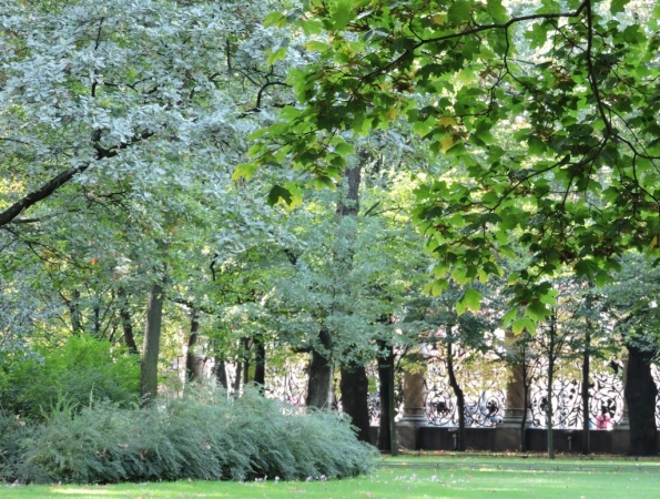 Санкт-Петербург. Осень